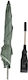 Moni Umbrella Stroller Green