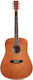 SX Guitars Acoustic Guitar Brown