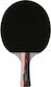 Ρακέτα Ping Pong Fz Forza Supreme Tt 6-star******