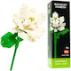 Nice Group Τουβλάκια Jasmine Flower για 6+ Ετών 84τμχ