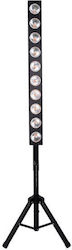 Citronic Bewegtes Licht LED 151.599UK Bernstein