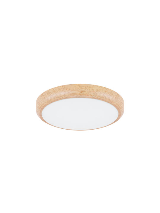 Struhm Deckenleuchte 17cm Grün mit Integrierter LED