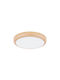 Struhm Deckenleuchte 17cm Grün mit Integrierter LED