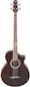 Ibanez 4-String Electric Bass