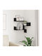 Raft Perete Black Oak 40x40x49.5cm