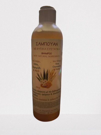 Ιερά Μονή Γρηγορίου Παλαμά Σαμπουάν 270ml