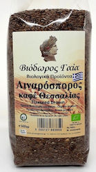 Viodoros Gaia Semințe De In Organice 500gr Viodoros Gaia Semințe De In Organice 500gr
