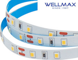 Ταινια Led 12v/5w Εσωτερικου Χωρου Ip20 60l 2835 4000kwellmax Τεμάχια 5 Ταινια Led 12v/5w Εσωτερικου Χωρου Ip20 60l 2835 4000kwellmax Τεμάχια 5