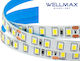LED-Streifen 24V/8W Innen IP20 120L 2835 6500K Wellmax