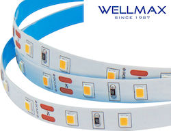 Ταινια Led 12v/5w Εσωτερικου Χωρου Ip20 60l 2835 3000kwellmax Τεμάχια 5 Ταινια Led 12v/5w Εσωτερικου Χωρου Ip20 60l 2835 3000kwellmax Τεμάχια 5