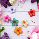Flower Hair Clip 1pc 4omo224
