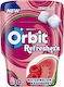 Orbit Chewing gum No Added Sugar 1pcs 61gr