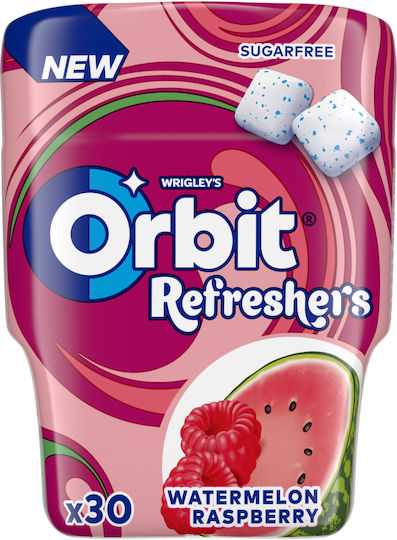 Orbit Chewing gum No Added Sugar 1pcs 61gr