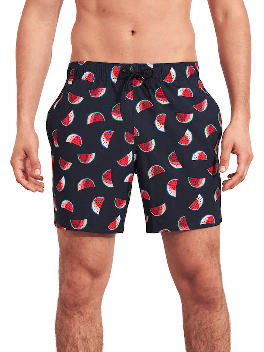 Hollister Hollister