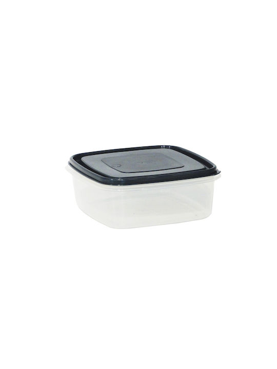 Viomes Microwave Plastic Lunch Box Transparent 17x17cm