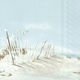 Napkin Decoupage Beach Life 1 Piece