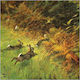 Χαρτοπετσέτα Decoupage 1τεμ Running Rabbits