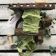 Κορδέλα Old Vintage Light Olive 1,2m