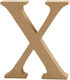 MDF Buchstabe 13cm Dicke 2cm X