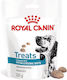 Royal Canin Hypoallergenic Υγρή Τροφή Σκύλων Διαίτης με Πουλερικά 230gr