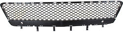 Car Bumper Grill Front Compatible with Mercedes-Benz E Class 09-13