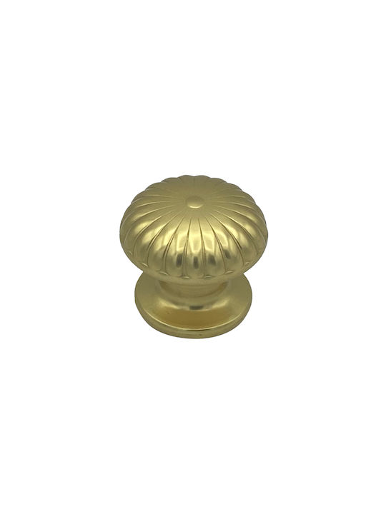 Saguatti Μπουλ Εξώπορτας Polished Gold