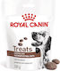 Royal Canin Leckerbissen für Hunde für Magen-Darm-Erkrankungen