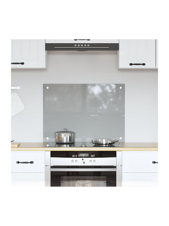 vidaXL Rectangular Glass Backlight Gray 70x50x0.6cm 42001227