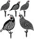 Aberto Design Decorative Garden Metal 5pcs 907MDS1104