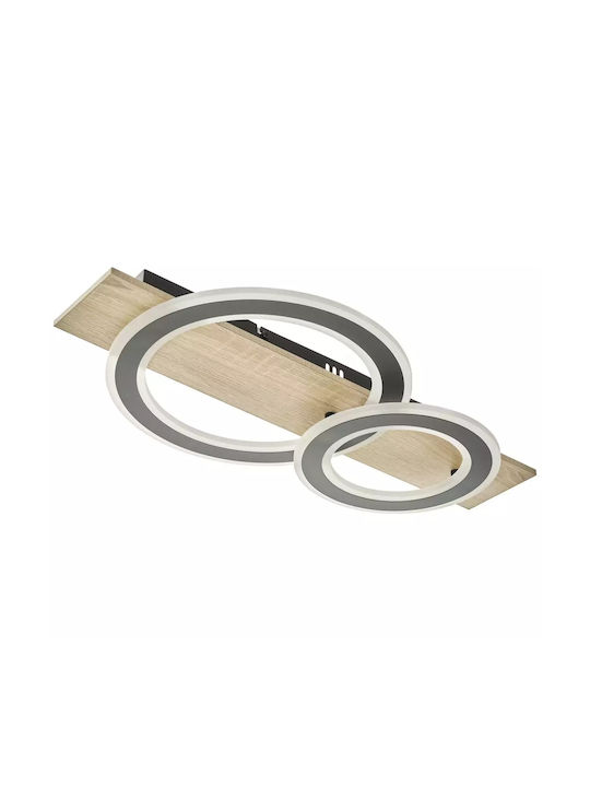 Ceiling Light LED