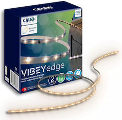 Calex Ταινία LED Ρυθμιζόμενο Λευκό 2m