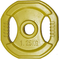 MDS Δίσκος Μεταλλικός 1 x 1.25kg Φ29mm με Λαβές