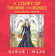 A Court Of Thorns And Roses Coloring Book Sarah J. Maas Bloomsbury Publishing Plc 0502