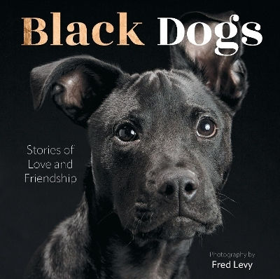 Dogs Stories Of Love And Friendship Fred Levy 0327