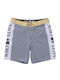 Boardshort Men's Swimwear Shorts Iron