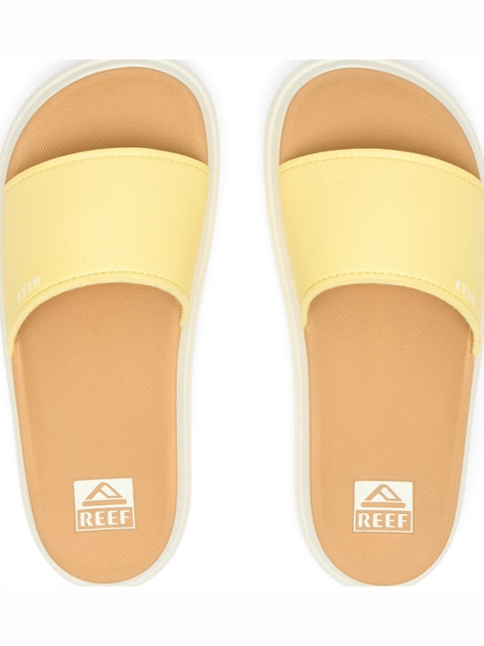Reef