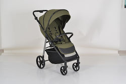 Cangaroo Ace Cedar Green