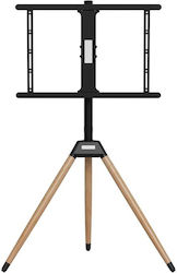 Gembird TVS-75ST-01 Βάση Τηλεόρασης Δαπέδου έως 75" Gembird TVS-75ST-01 Βάση Τηλεόρασης Δαπέδου έως 75"