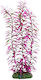 Aquanova Декоративно Растение Limnophila 40см Np-40 40077