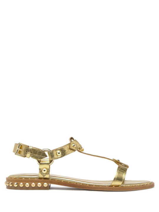 Combo Leather Women's Flat Sandals in Gold Color