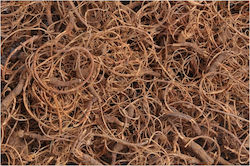 Lockiges Moos Natur 100g