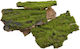Holzrindenmoos 17 cm