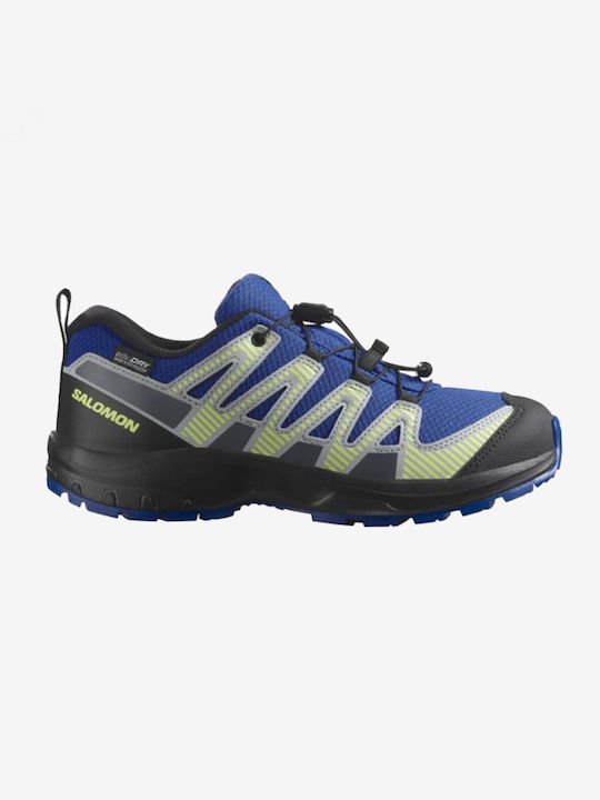 Salomon Kids Hiking Shoes Xa Pro V8 Waterproof ...