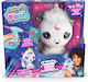 Canal Toys Боядисване Space Unicorn с Въпроси и Отговори за Деца 3+ Години