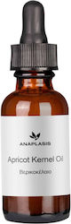 Anaplasis Βερικοκέλαιο 500ml Anaplasis Βερικοκέλαιο 500ml