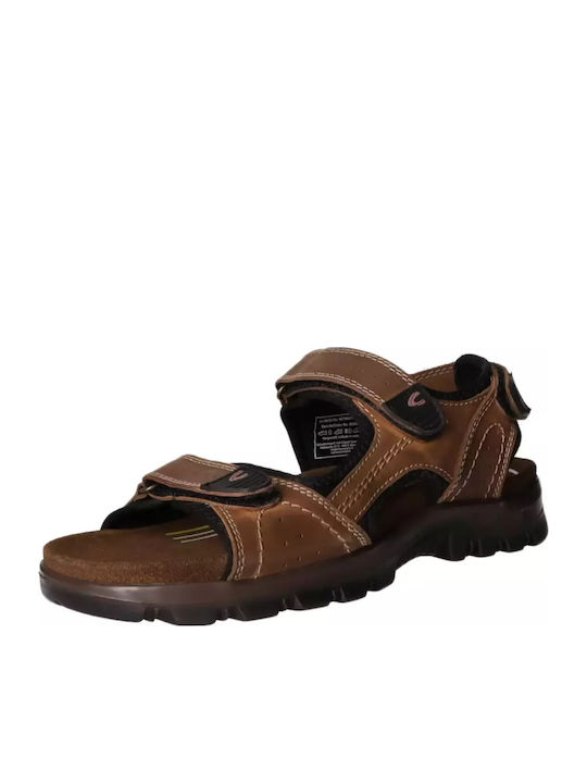 Camel Active