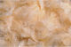 Feathers Pack 10g Peach