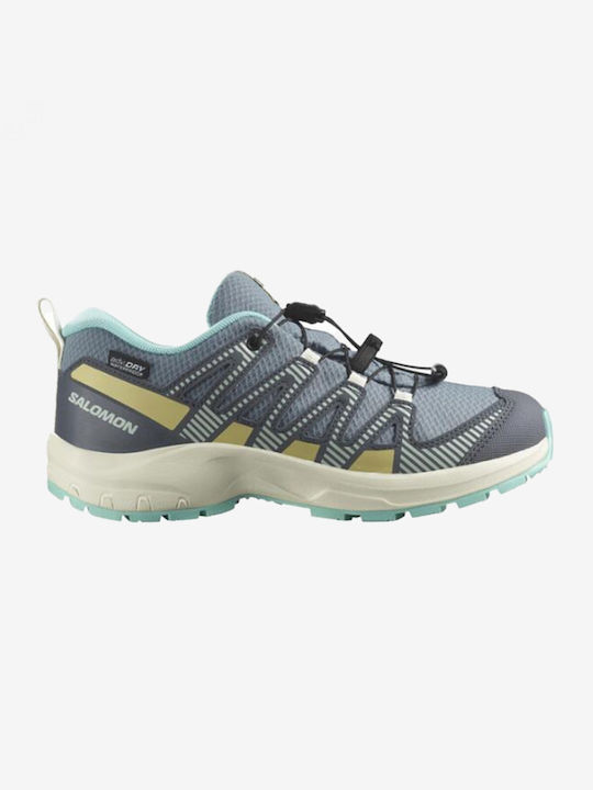Salomon Salomon