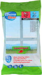 Lifetime Clean Allzweckreiniger Flüssig für Windows Lifetime Clean Allzweckreiniger Flüssig für Windows