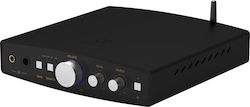 Shanling DAC Shanling DAC